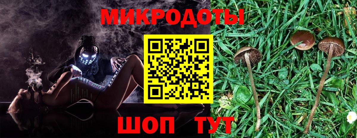 где купить наркоту  Вход с VPN  Галлюциногенные грибы мухоморы  Удомля  Псилоцибиновые грибы Psilocybine cubensis 